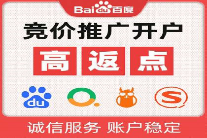 案例分享：SEM推广助力电商快速崛起